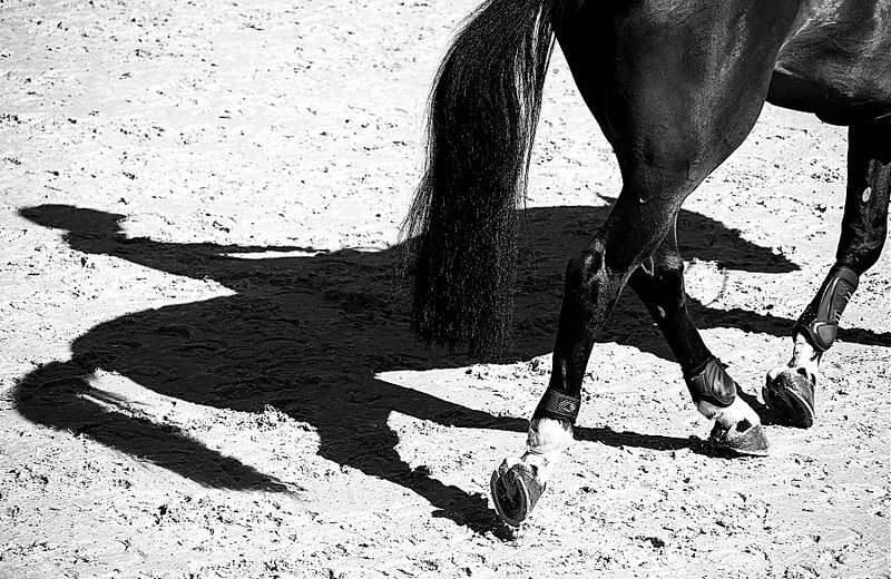 (photo (c) GCT/S.Grasso)