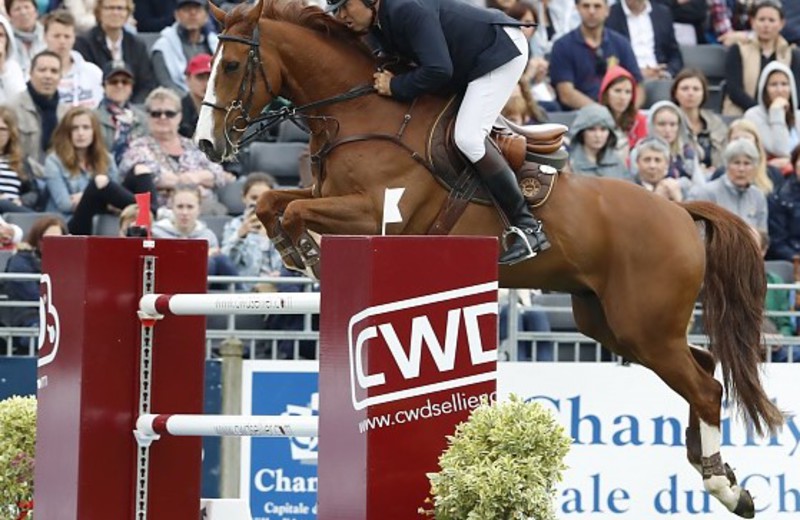 ARSOUILLE DU SEIGNEUR a gagné le Grand Prix 1.45m du CSI2* de Zandhoven (photo d'archives - S.G.) 