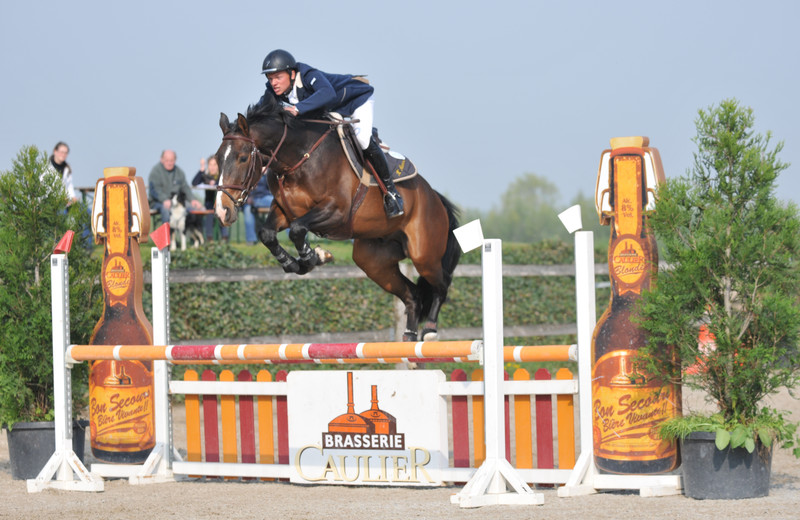BEL CANTO DU HOUSSOIT (Sherman Sitte/Ogano Sitte – naisseur: F. Dulac à B-7971 Basècles)  il y a quelques années au Cycle Classique des Jeunes Chevaux (photo (c) Photo Evénements)
