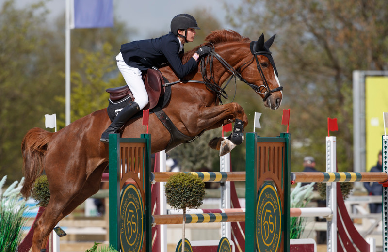CACACHA VAN HET SCHAECK (Bamako de Muze) s'est classée 3ème en GP 1.55m au CSI 3* de Lier 2019 sous la selle de Max Sebrechts. On la voit ici à Lier sur 1.40m, en 2017 (Dirk Caremans)