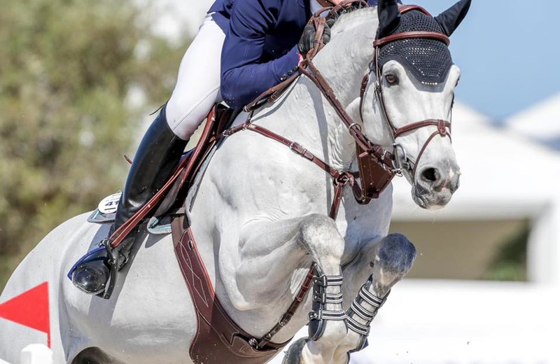 Photo : CASANOVA DE L’HERSE (Ugano Sitte x Kashmir van Schuttershof ) et François Mathy Jr en grande forme sur le CSI5* de Grimaud (photo : Hubside Jumping)