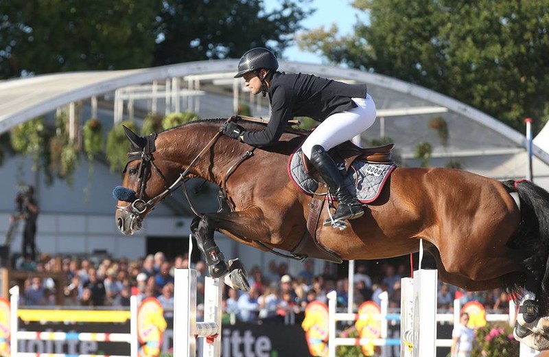DIEU MERCI VAN T&L (Toulon x Corrado-I) 3ème sur 1.50m au CSI3* de Wellington ! (Studforlife)