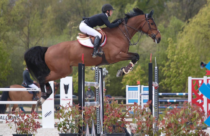 DREAM ALIVE HERO (Erco van’t Roosakker/Carthago Z – naisseur: L. Henry à B-4452 Paifve) et Patricia Guéry (BEL)