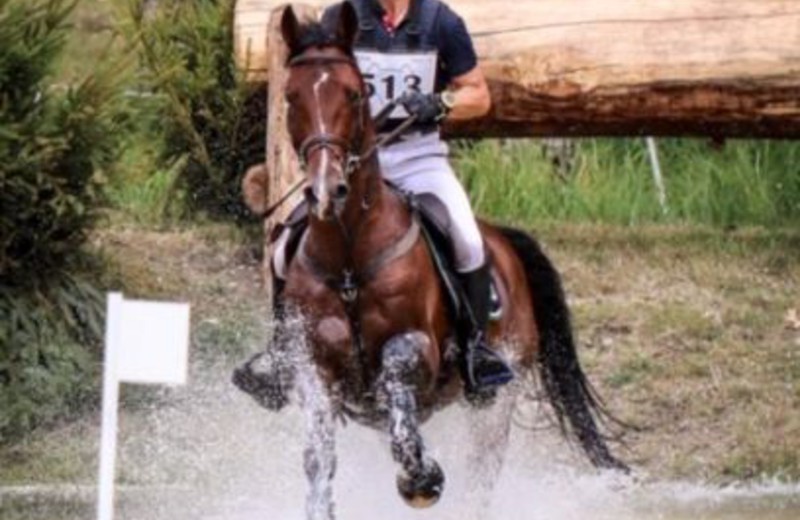 GOOD SIZE au Grand Complet du Haras du Pin, le weekend dernier (Laurine Bedue)