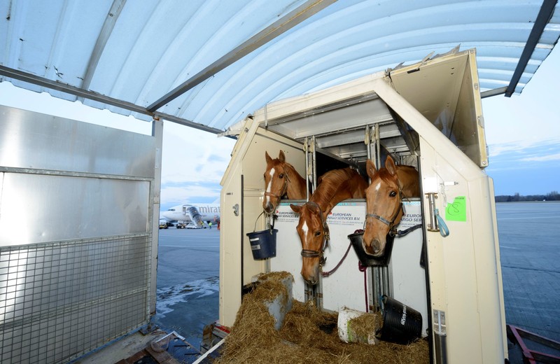 Horse Inn  © JL DERU