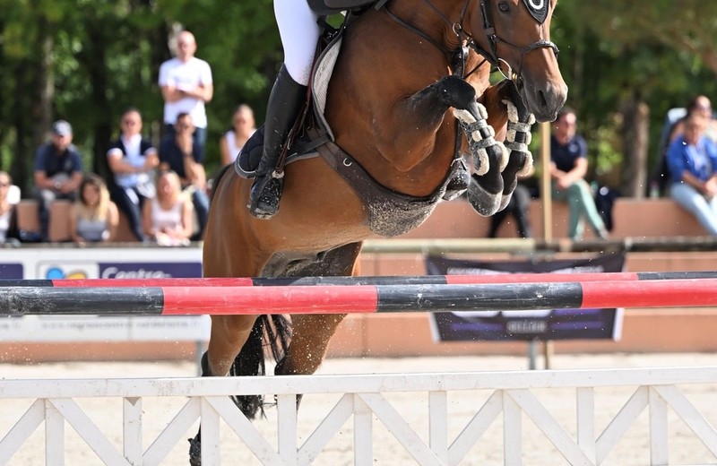 Jive Star d’Arezzo et la jeune cavalière Lou Morali (photo : Agence Ecary)