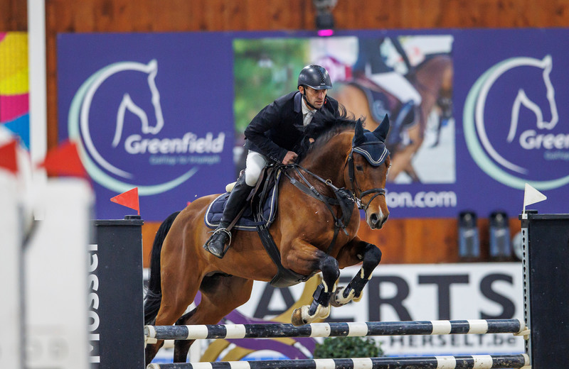 LINKIN PARK G&G et Gert Geeroms, Lannoo Belgian Stallion Competition, Azelhof 2022 (Dirk Caremans)