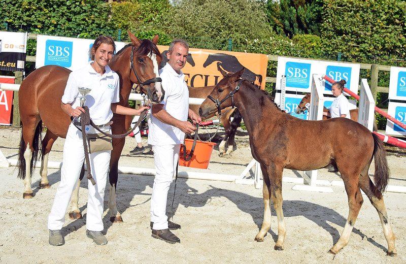 Mme Eugénie Bourdais et le vainqueur des foals: PUCCINI HDB (FS Next Diamond x Ulk d'Eté) (photo: Nathalie Geerlandt)