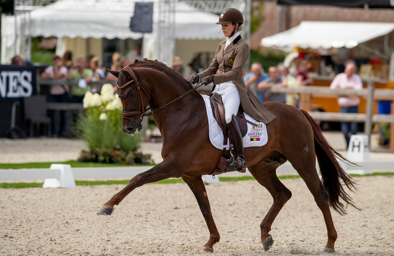 FIRST-STEP VALENTIN (Vitalis/Fidermark) & Larissa Pauluis au World Championship Young Dressage Horses - Ermelo 2019 (c) Dirk Caremans