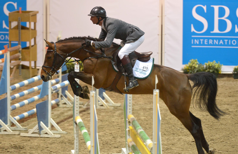 L’étalon approuvé à la monte par le SBS PIKAP DE MUZE Z (Ponsee V/ Tinka’s Boy) (photo archives)