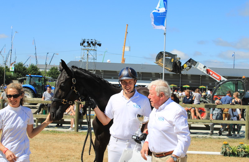 La SBS PASO DOBLE DU JADE (Floricello x Dante Weltino), élevée par Francis Carlens 4350 Remicourt, championne des Yearlings 2022 (photo: L.G. - SBS)