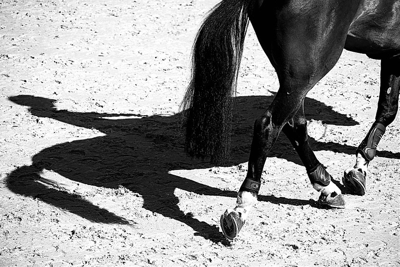 (photo (c) GCT/S.Grasso)