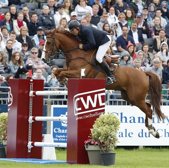 ARSOUILLE DU SEIGNEUR a gagné le Grand Prix 1.45m du CSI2* de Zandhoven (photo d'archives - S.G.)