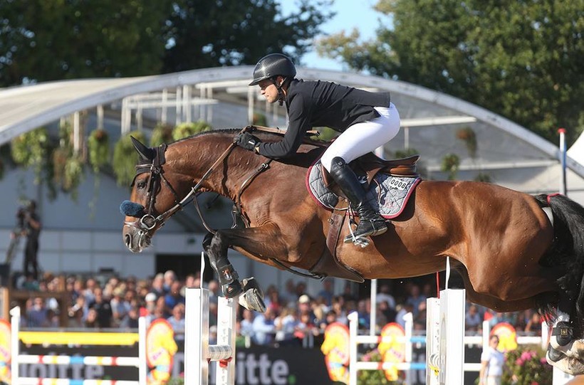 DIEU MERCI VAN T&L (Toulon x Corrado-I) 3ème sur 1.50m au CSI3* de Wellington ! (Studforlife)