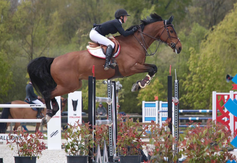 DREAM ALIVE HERO (Erco van’t Roosakker/Carthago Z – naisseur: L. Henry à B-4452 Paifve) et Patricia Guéry (BEL)
