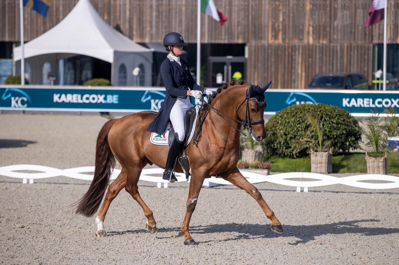 GOLDDREAM VD KEMPENHOEVE (Jazz x Quaterback) sous la selle de la cavalière olympique belge Jorinde Verwimp, ce weekend au CDI3* de Opglabbeek (Dirk Caremans)