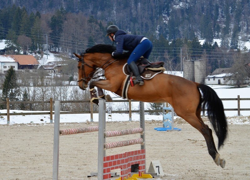 Vendue à la famille Geiser en Suisse, ISIS DE LA HAIE R.O.+ tourne en international depuis 2020 sous Johanne Hermann, dans le but qu’Audrey Geiser, cavalière 5*, puisse l’intégrer dans son piquet.