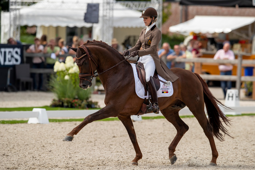 FIRST-STEP VALENTIN (Vitalis/Fidermark) & Larissa Pauluis au World Championship Young Dressage Horses - Ermelo 2019 (c) Dirk Caremans